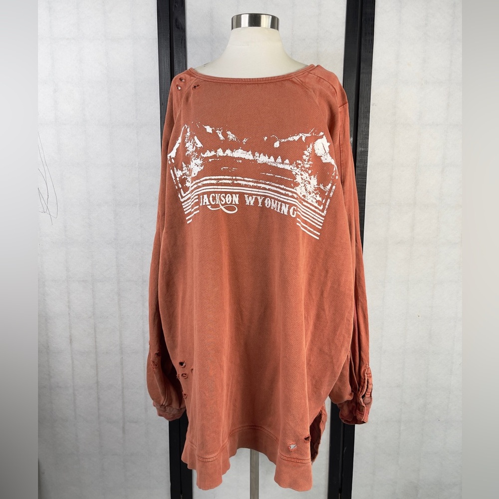 Free People Rust Graphic Top